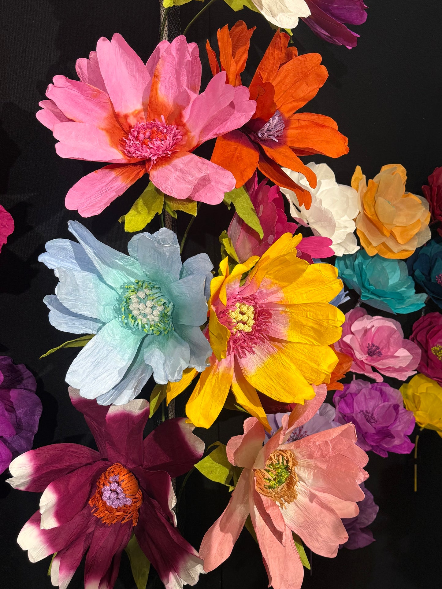 Paper Flowers - Large Various Colours