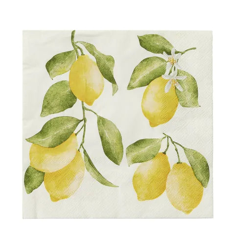 Paper Napkin Pack of 20 - Various Designs